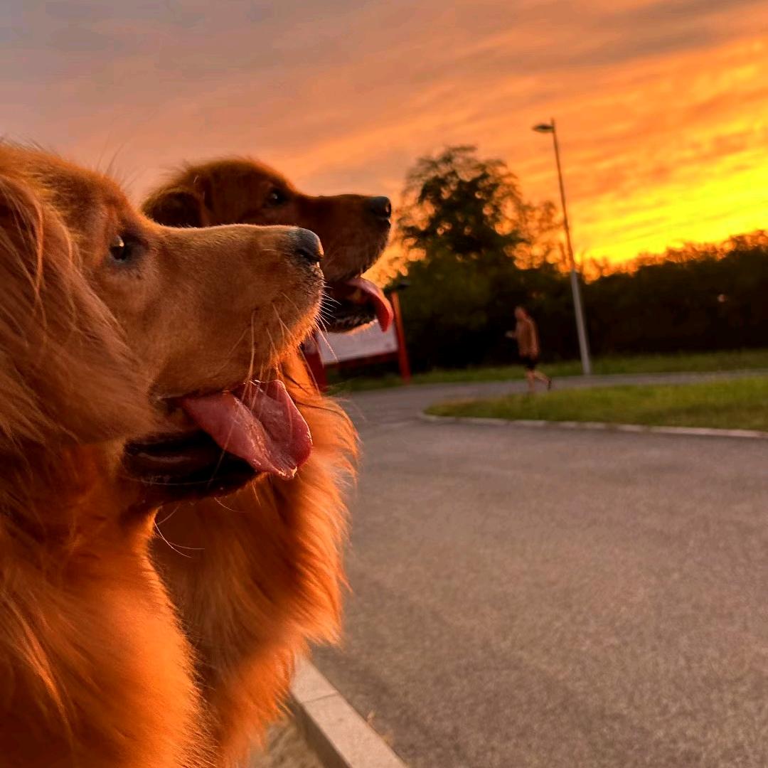 ღ᭄ꫛ聽説ꦿ糖এۣۖิ狠甜🍒