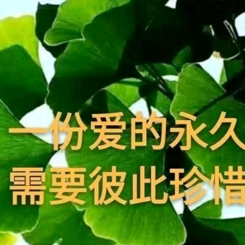壹ღ᭄ꦿ꯭ 帆ঞৣঁ 馮প᭄᪲順