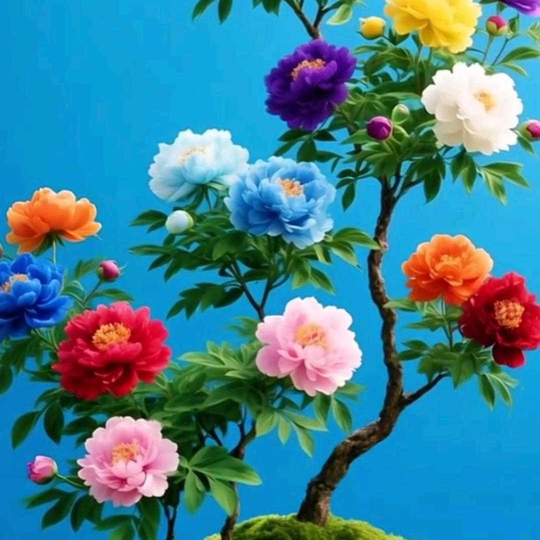 桃花