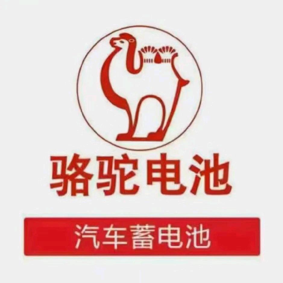 骆驼蓄电池 白云机场店