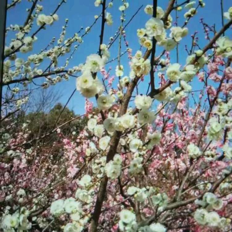 🚬ཀོ点烟抽ོ寂寞ꦿ࿐