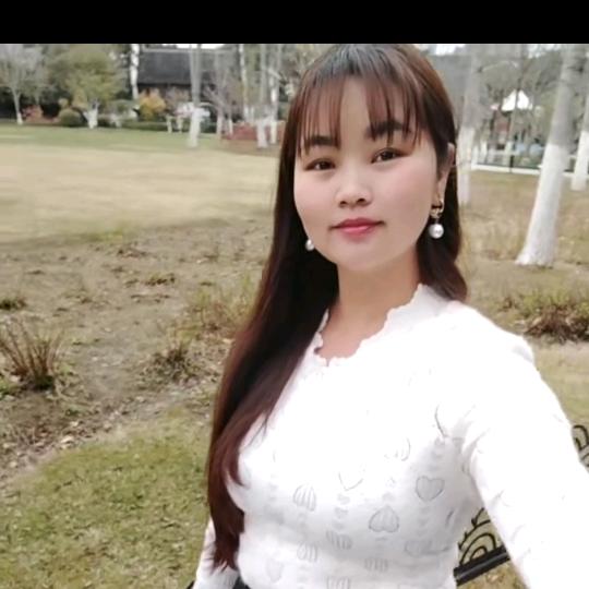 杨梅金