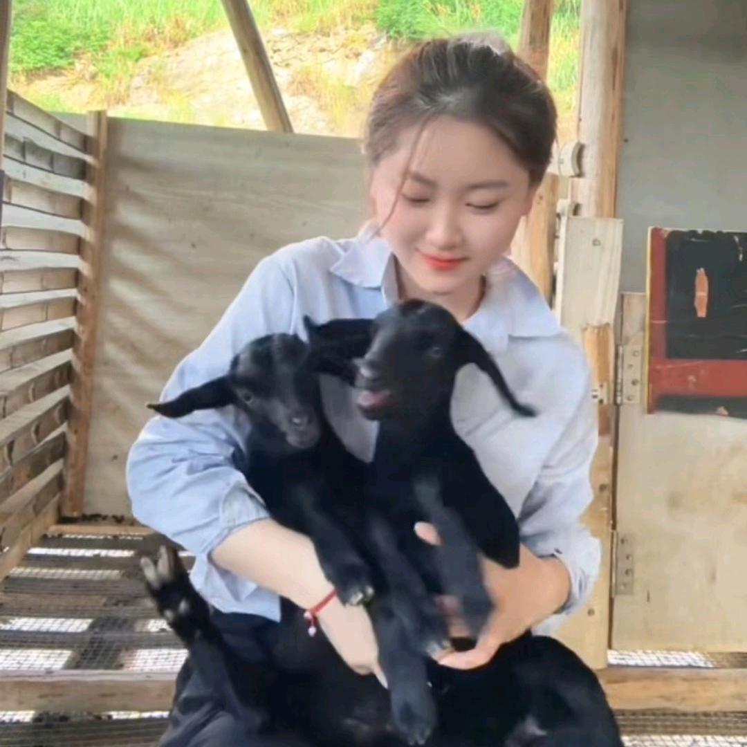 驰城畜牧