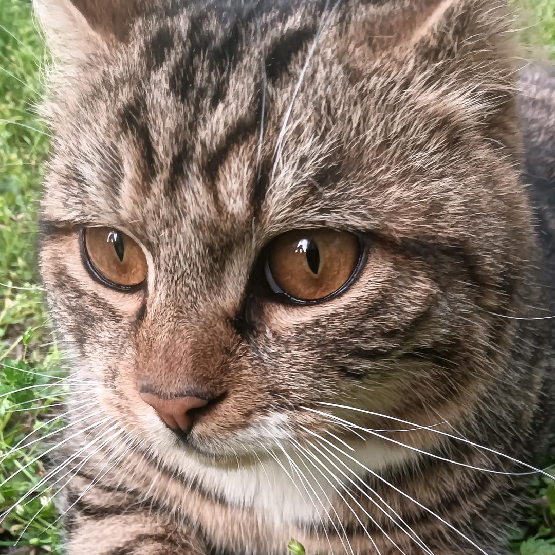 高一家长（数学好难）