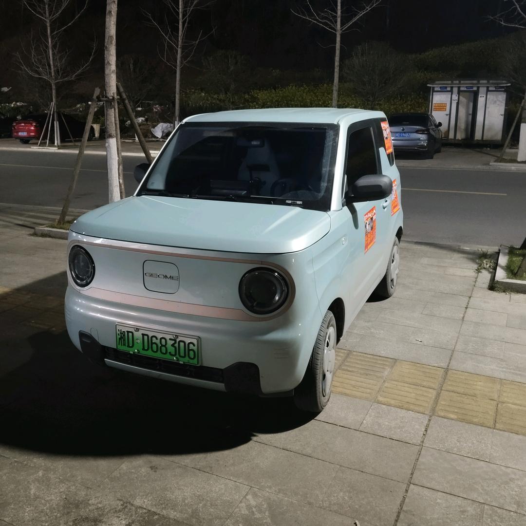一个小小的熊猫