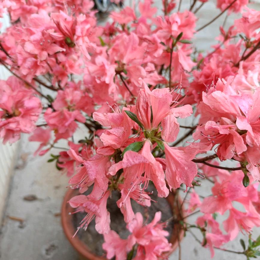 用户662116460756在苦在累坚持