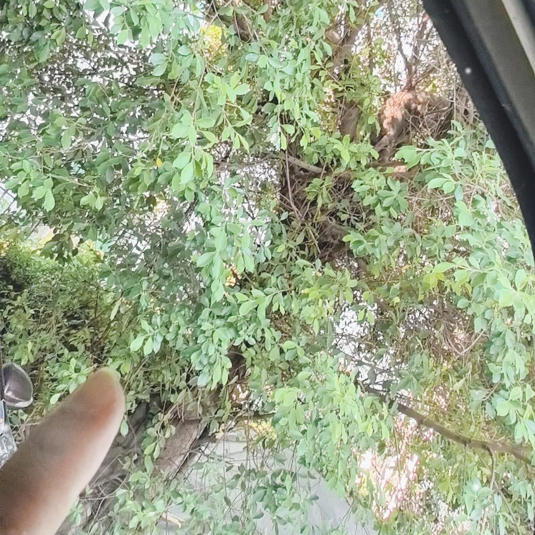 Ꮙ᭄ོ舎⃝ོ🉐ོ༊