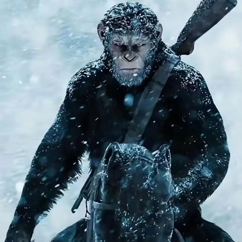 是狼你就练好牙 是羊你就练好腿