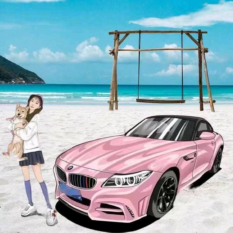 鑫鑫车车（助手）