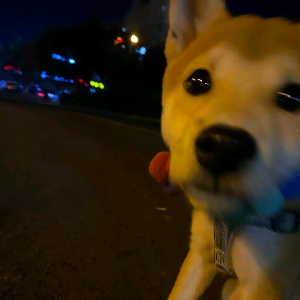 跟你走