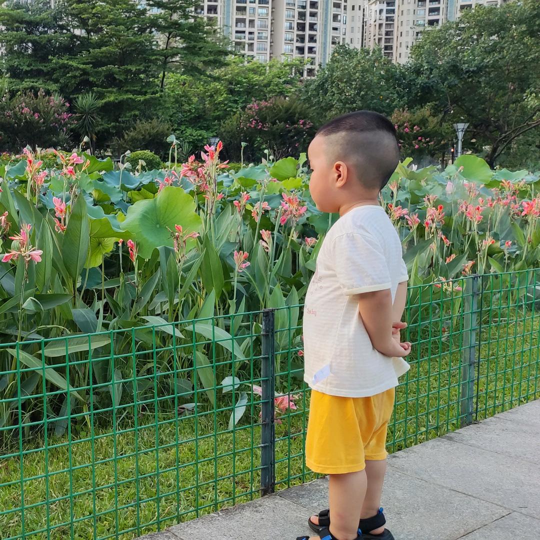 鹰哥哥