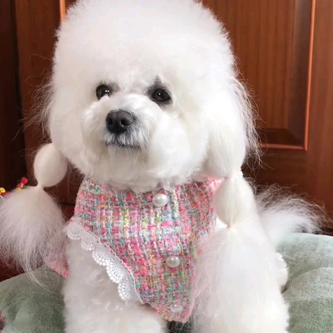 飘飘一家（鑫）