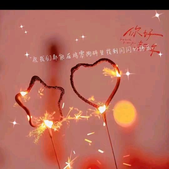 ❤️🏵️太阳花🏵️❤️
