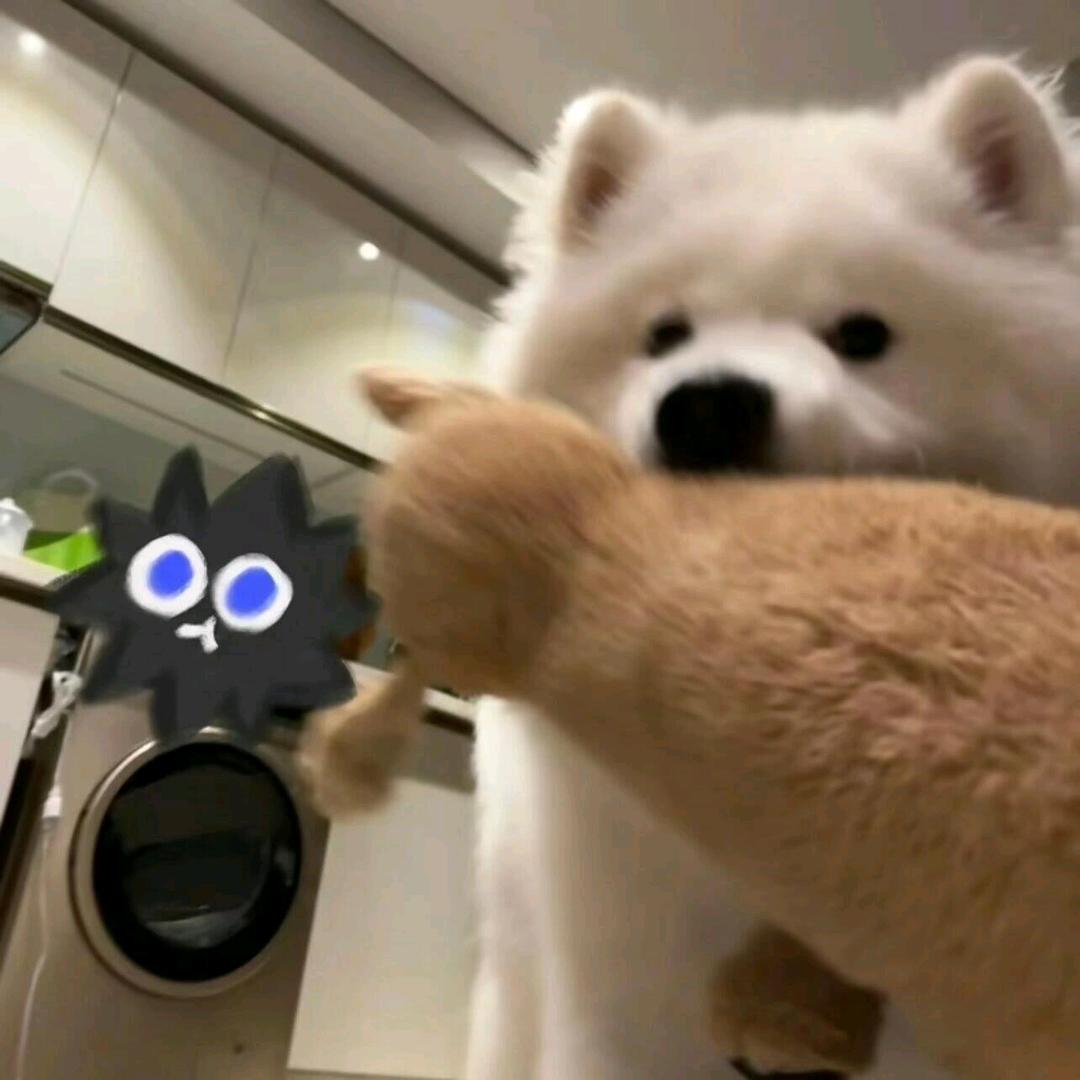 迟到的春天