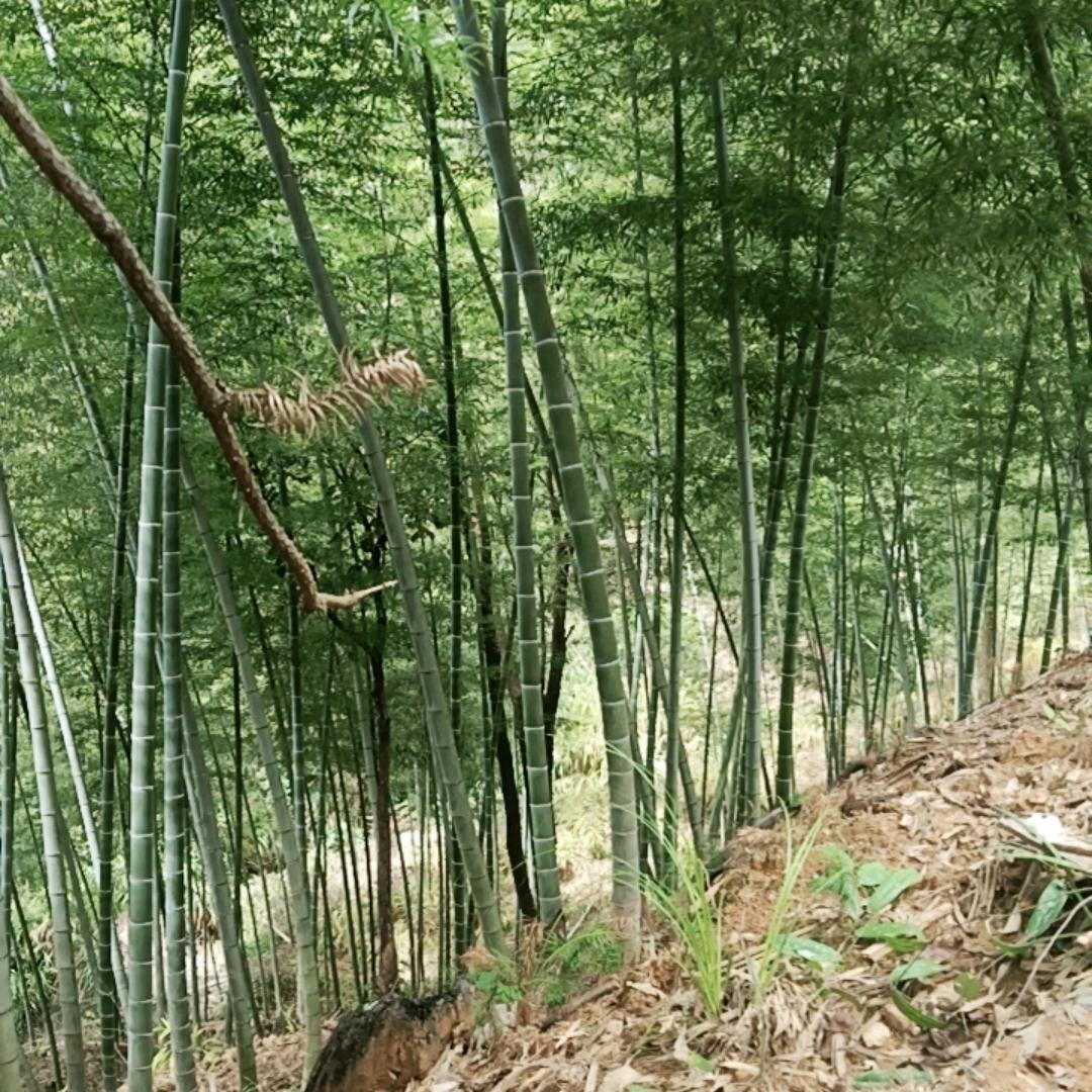 平安快乐