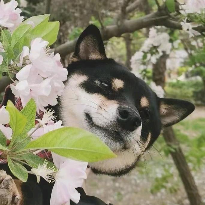 钱来