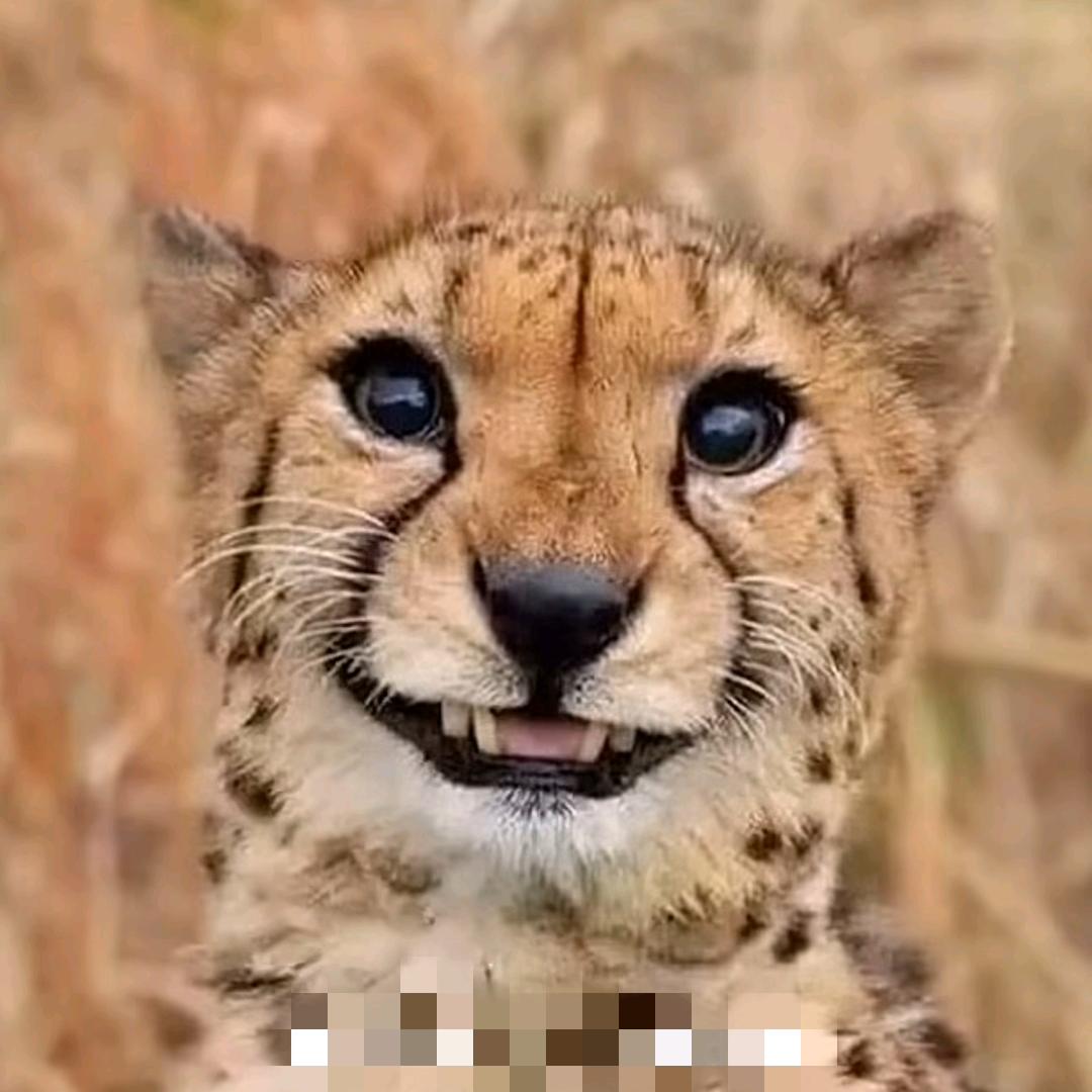 一 二