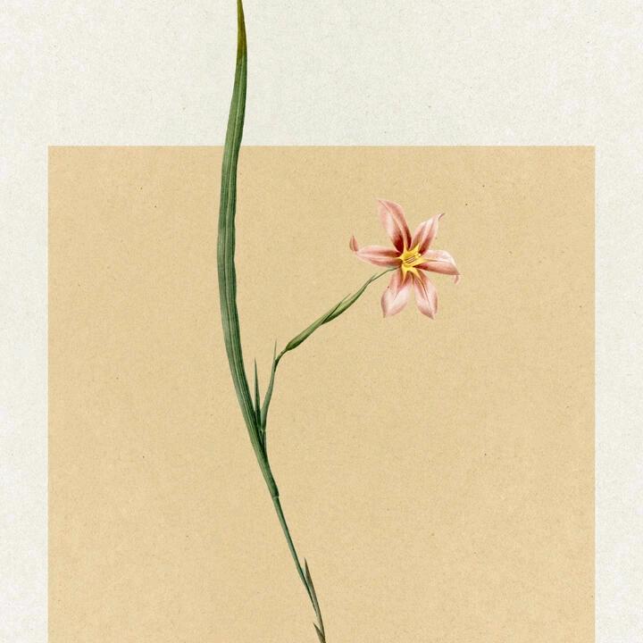 余生安康
