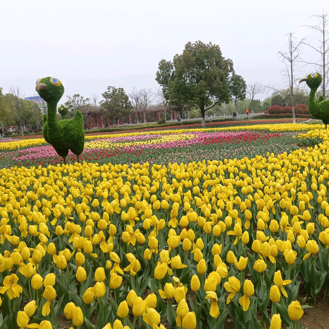 光明磊落我心飞翔