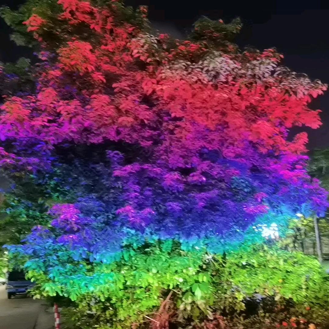 光达中涛海佳彩亮