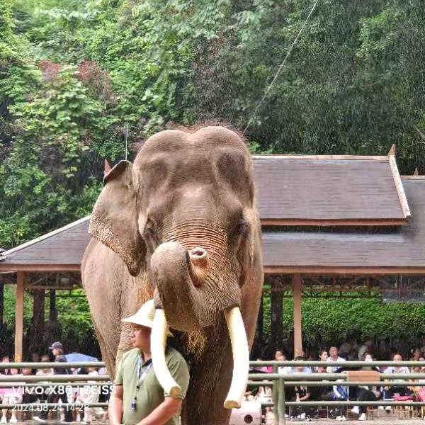 苗草益康双甸店