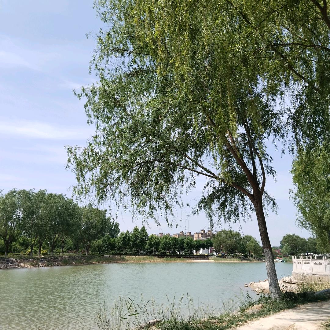 黄河岸边