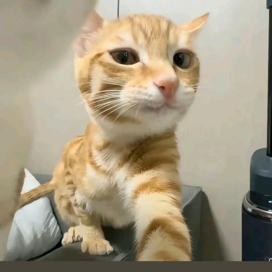 6789
