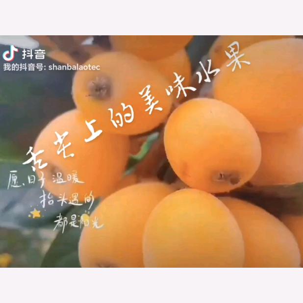 a乐在棋中a