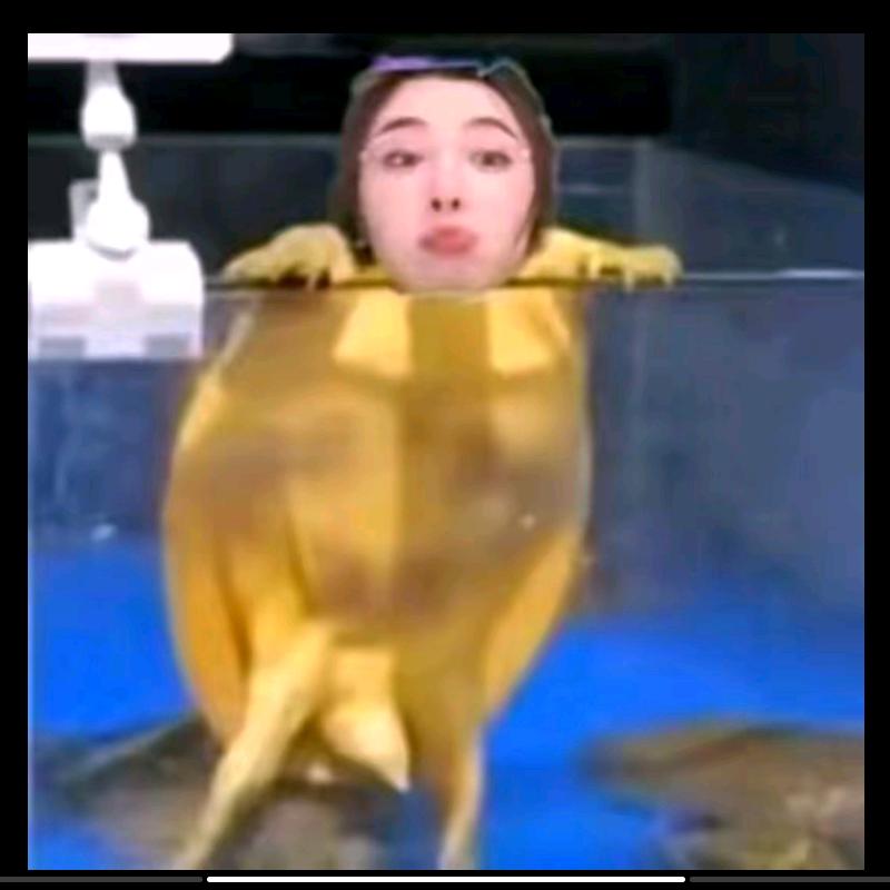 医索