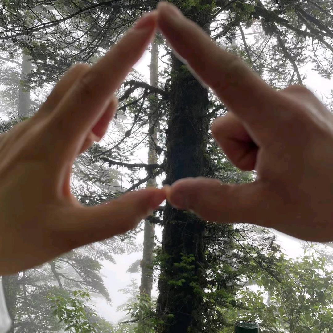 一个爱做饭的厨子