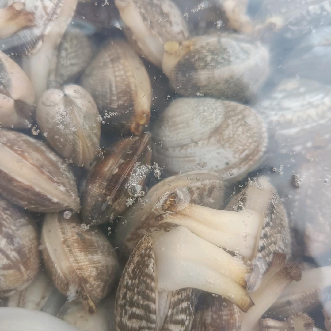 辫子哥（求守护）