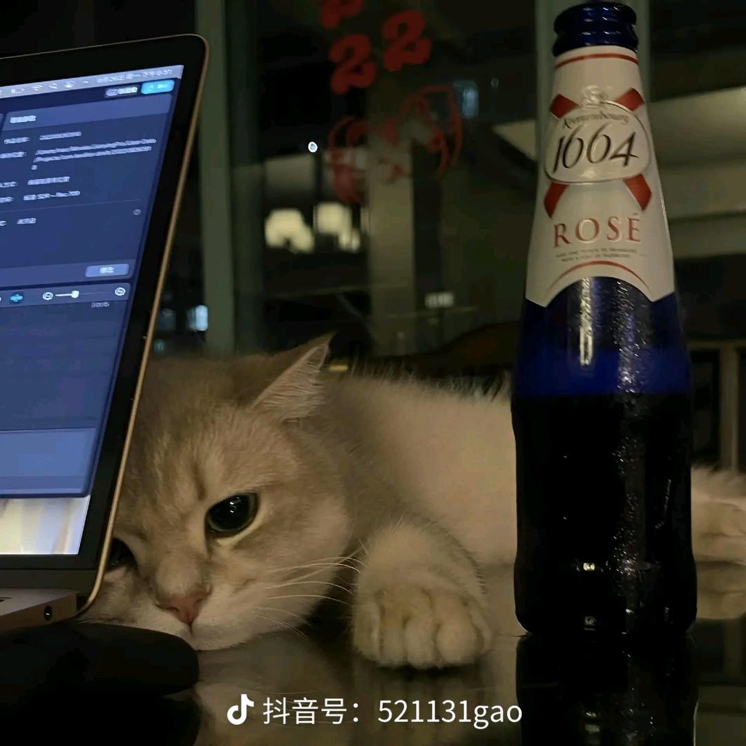 念忆QvQ
