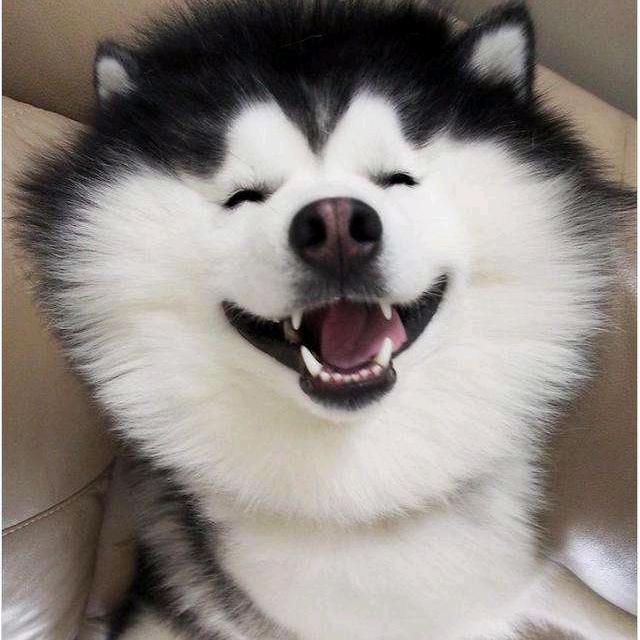 聪哥爱分享⭐