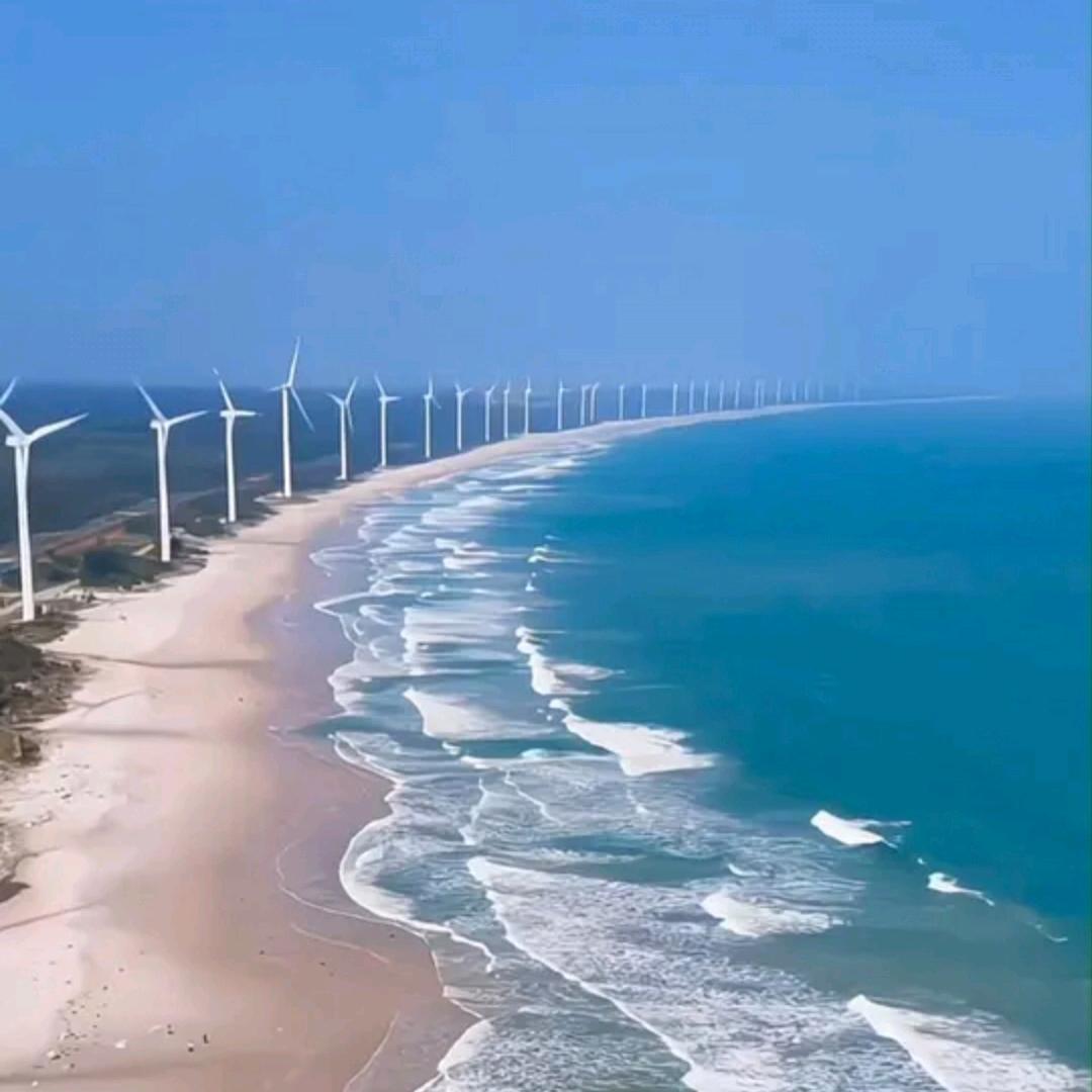 山西缘信赢和 培训就业