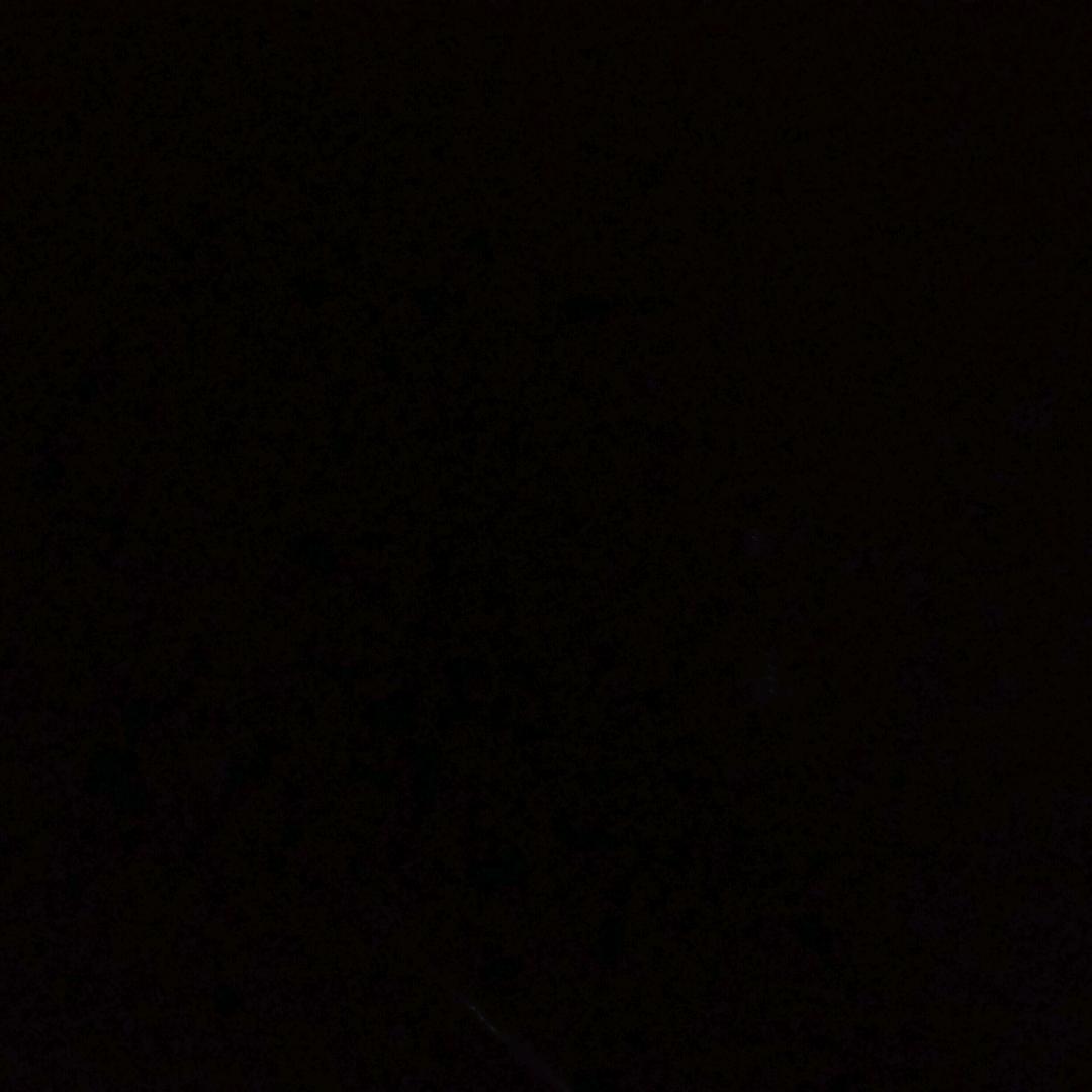 田老大