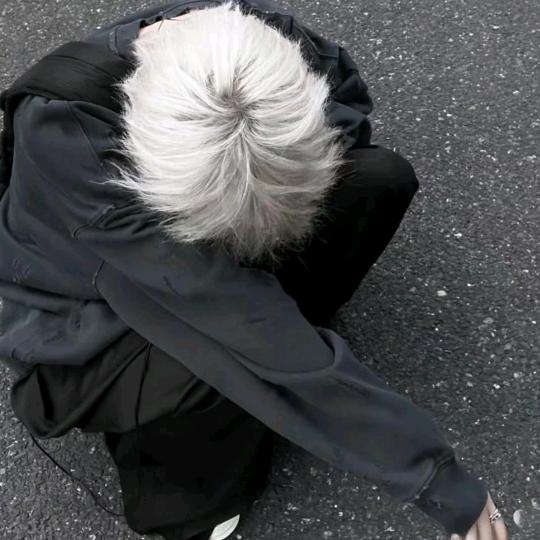 连理枝（恩师小佳贝）