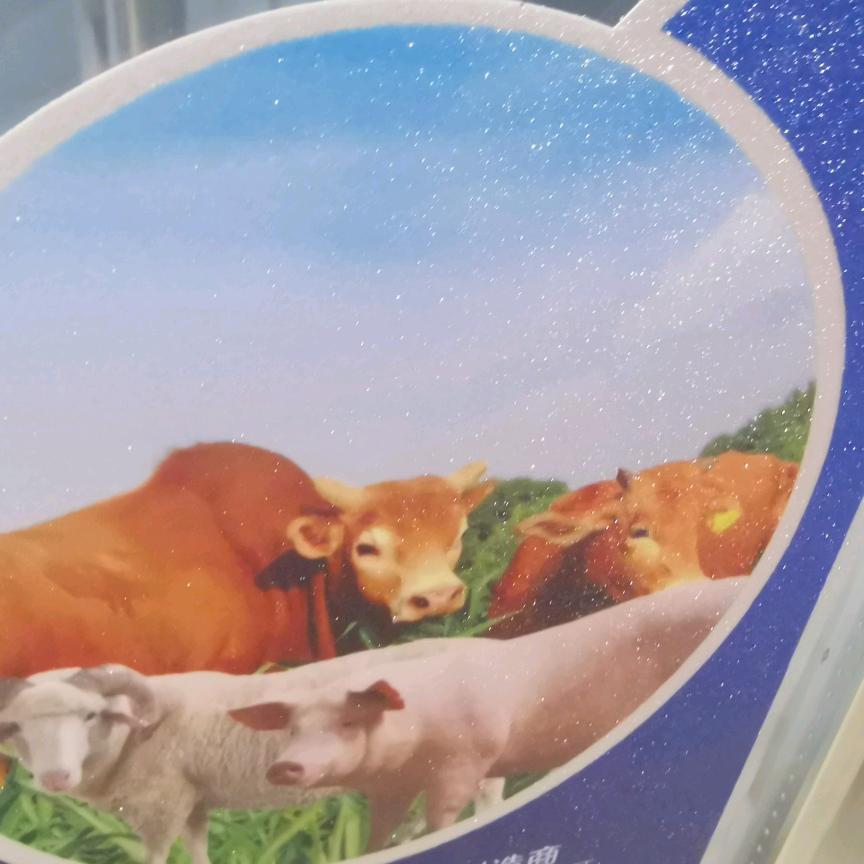 旺达牛羊肉批发
