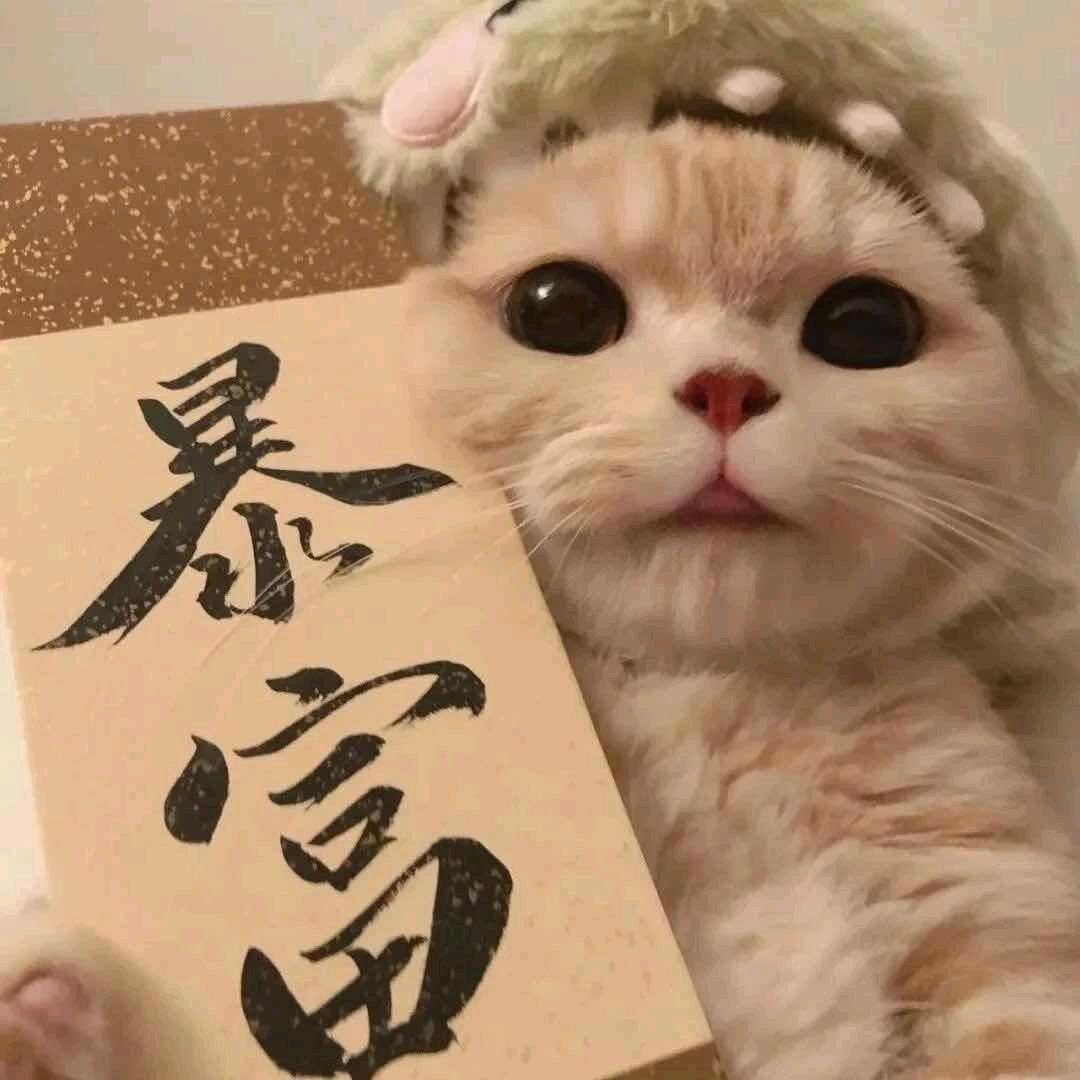 沐沐是只喵