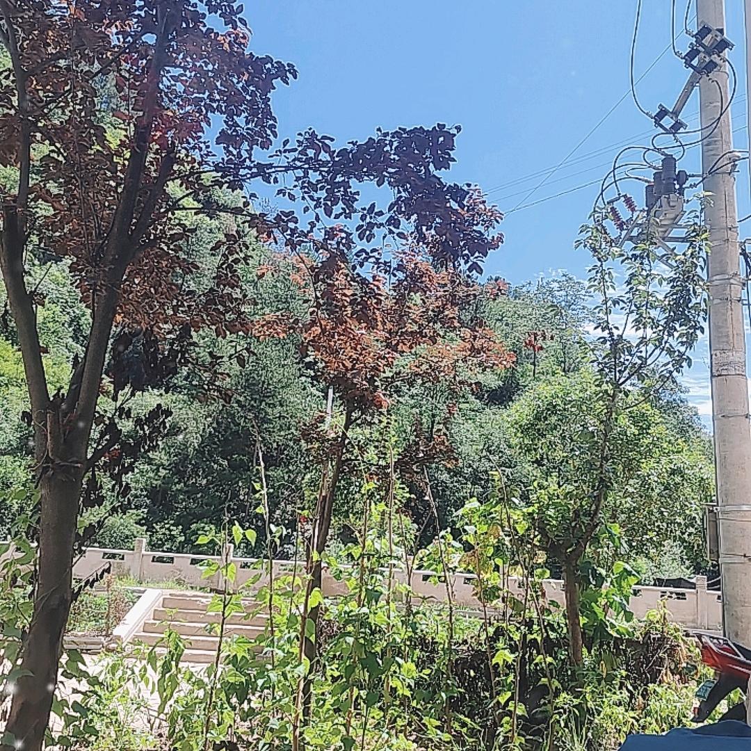 农村唱山歌