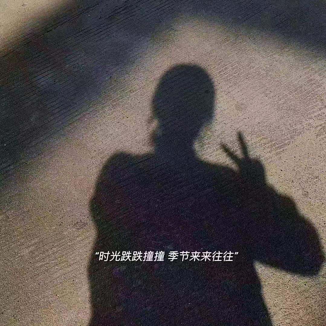 百变小秃驴
