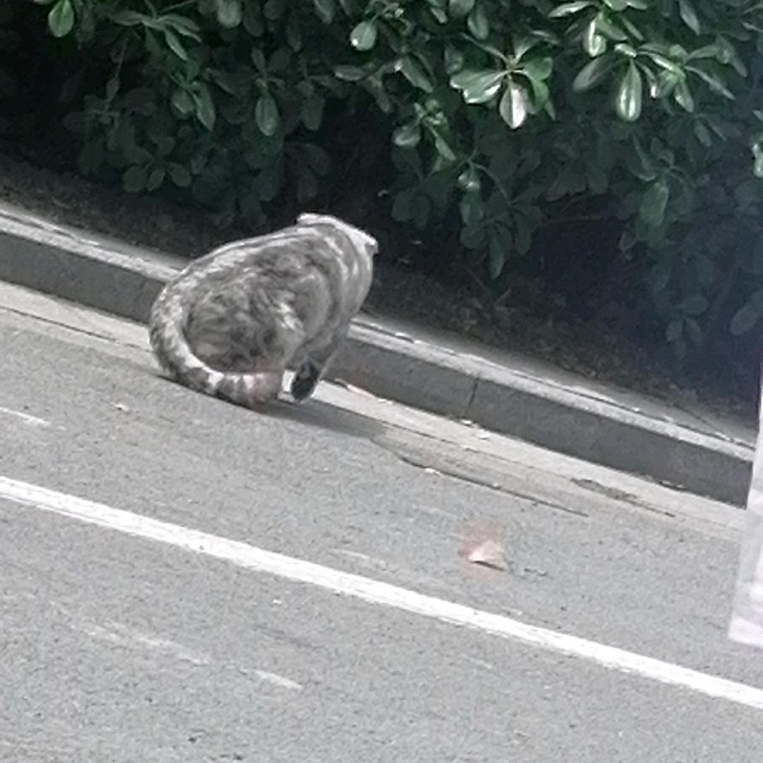 快乐丢了
