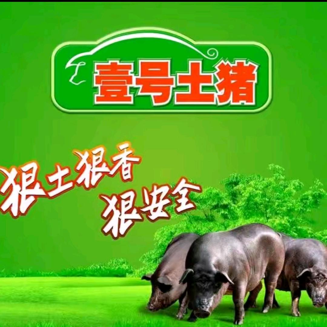 壹号土猪（直播返场）