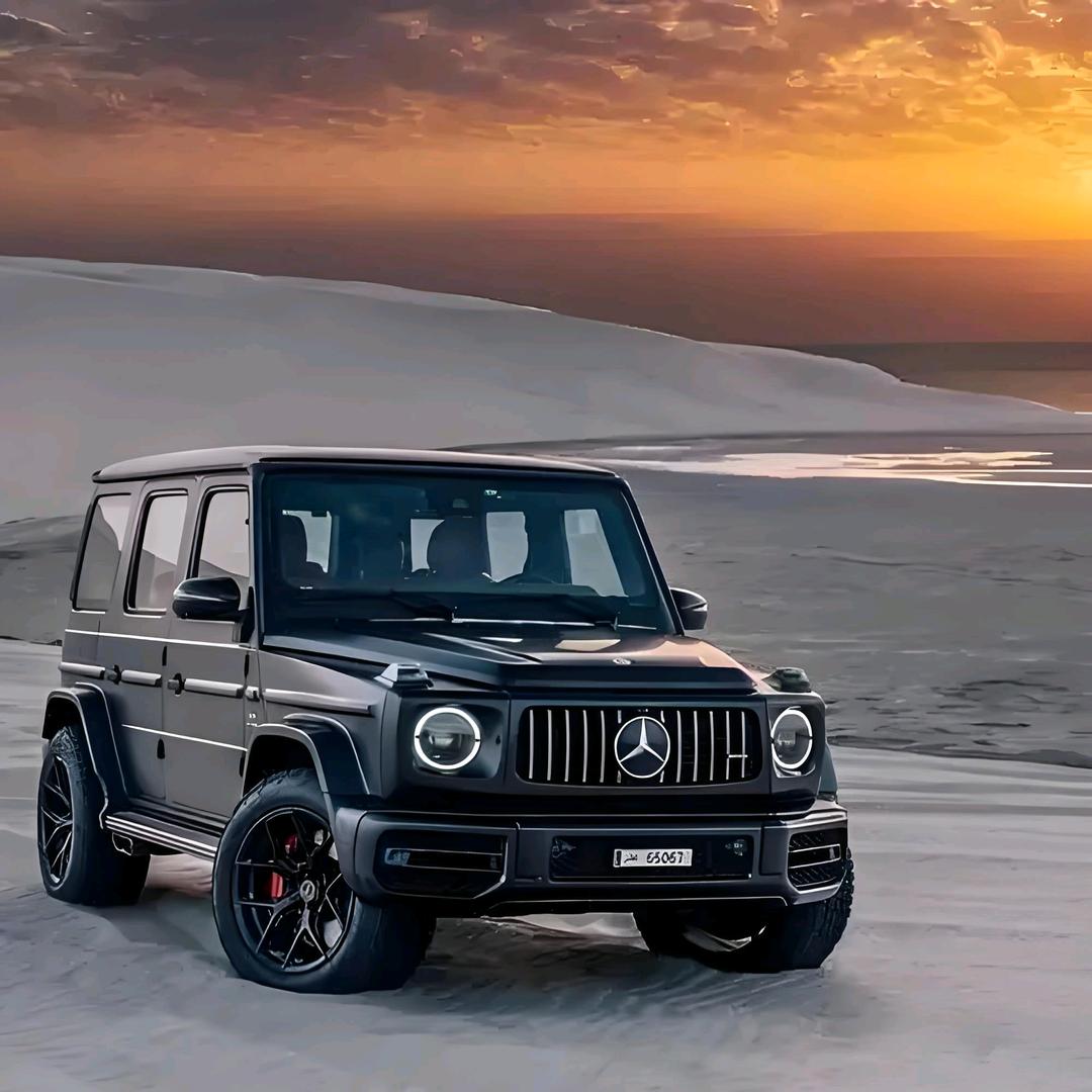 💞ଲ᭄再创辉煌ོᝰ ᭄²⁰²³💕⁵²