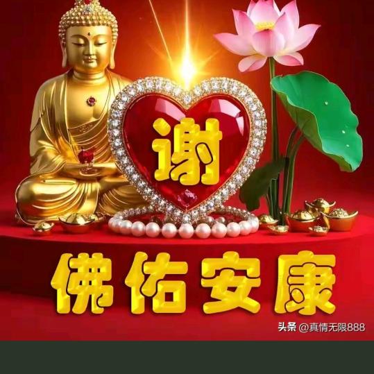 随缘人
