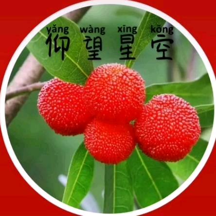 仰望——幸福