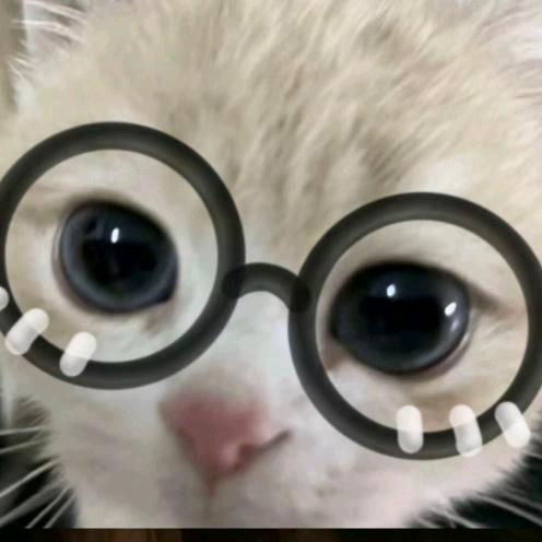 hellooo