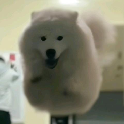 可以的话