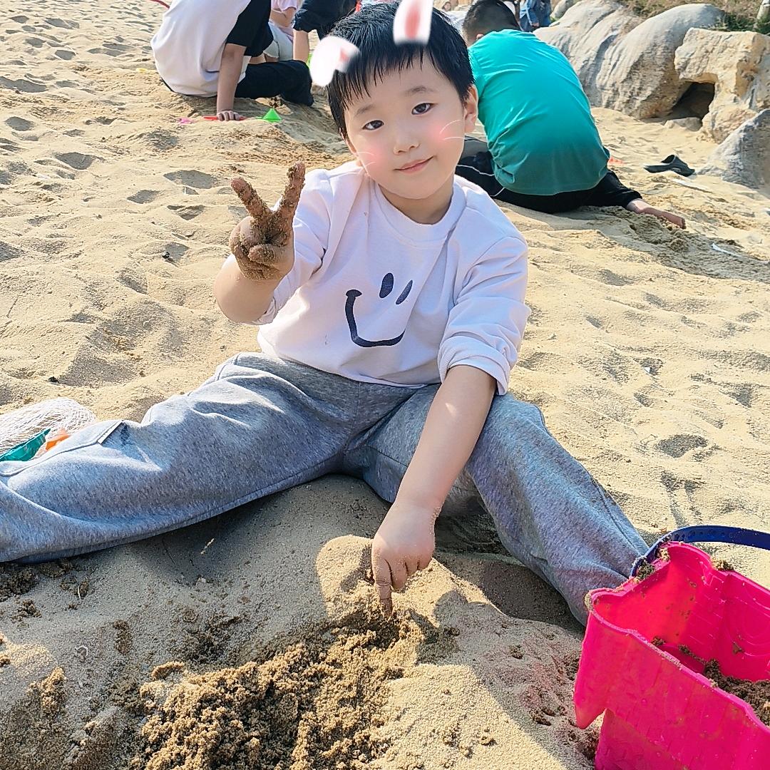 扬扬de意