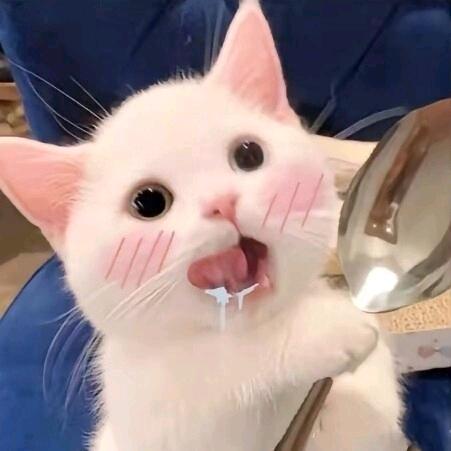 酸菜鱼