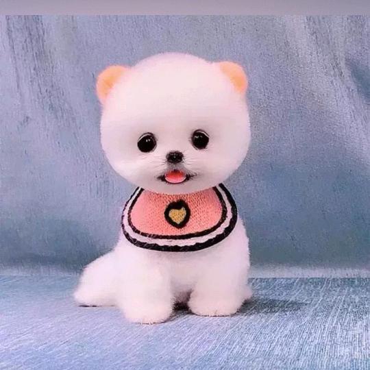 💟💜🟣风调雨顺🟣💜💟